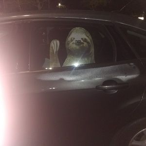 Meet your Posher, Risqi